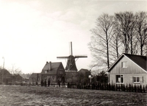 F5906 De molen van Kluvers-van Ark 1963